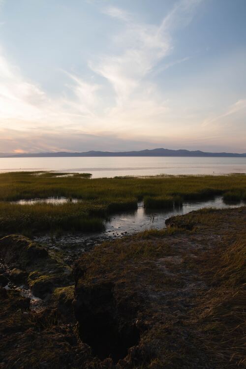 <p>Explorez l'île d'Anticosti, patrimoine mondial de l'UNESCO, avec le balado de QUB Radio. Découvrez sa biodiversité, son histoire, le sanctuaire du cerf de Virginie, ses fossiles anciens et plus encore. Des quiz en ligne enrichissent chaque épisode pour une immersion totale.</p>